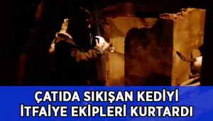 Çatı katında sıkışan kediyi itfaiye ekipleri kurtardı
