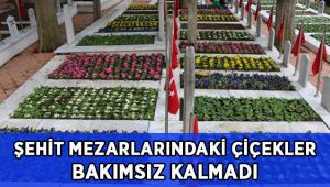Kar yağışı sonrası şehitlerimizin çiçekleri bakımsız kalmadı