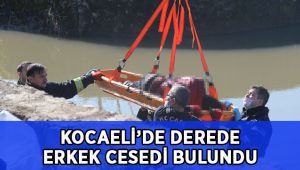Kocaeli'de dere içerisinde ceset bulundu