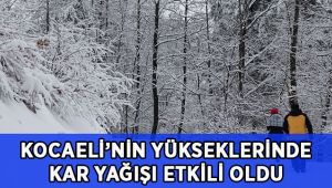 Kocaeli’nin üst kesimlerinde gece boyu lapa lapa kar yağdı
