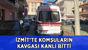 Komşuların kavgası kanlı bitti
