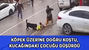 Köpek üzerine doğru koşunca kucağındaki çocuğu düşürdü