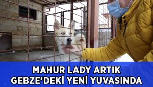 Mahur Lady artık yeni yuvasında
