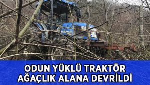 Odun yüklü traktör ağaçlık alana devrildi: 1 yaralı