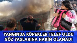 Yangında telef olan köpeklerinin çantasına sarılarak gözyaşlarına boğuldu