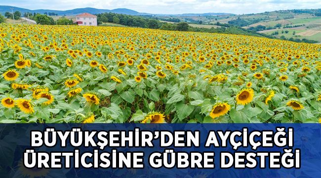 Büyükşehir’den ayçiçeği üreticisine gübre desteği