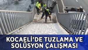 Büyükşehir’den tuzlama ve solüsyon çalışması