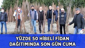Büyükşehir’in, yüzde 50 hibeli fidan dağıtımı cuma günü sona erecek
