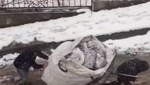 Buz gibi havada yürek ısıtan görüntü