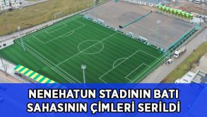 Darıca Nene Hatun Stadı’ndaki batı sahasının çimleri serildi