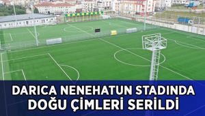 Darıca Nene Hatun Stadı’ndaki doğu sahasının çimleri de tamam