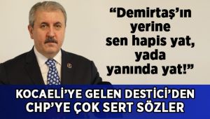Demirtaş'ın yerine hapse sen gir ya da git onun yanında yat!