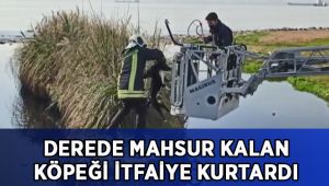Derede mahsur kalan köpeği itfaiye ekipleri kurtardı