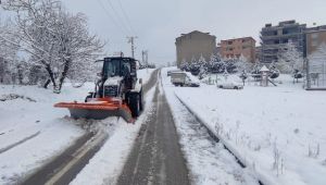 Derince’de Karla Etkin Mücadele