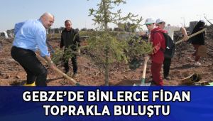 Gebze’de fidanlar toprakla buluştu