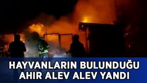 Hayvanların bulunduğu ahır alev alev yandı
