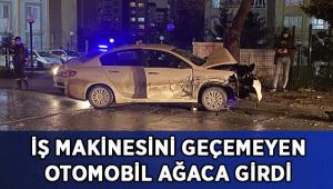 İş makinesini sollamaya çalışan otomobil ağaca girdi: 1 yaralı