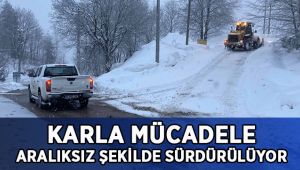 Karla mücadele aralıksız şekilde sürdürülüyor