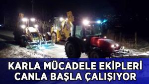 Karla mücadele ekipleri canla başla çalışıyor