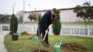 Kartepe'de kiraz ve vişne yılı!