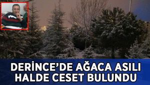 Kocaeli'de ağaca asılı halde erkek cesedi bulundu