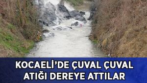 Kocaeli'de çevre katliamı: Çuval çuval atığı dereye attılar