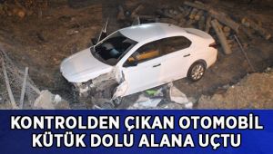 Kontrolden çıkan otomobil kütük dolu alana uçtu: 1 yaralı