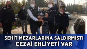 Şehit mezarlarına saldırmıştı, cezai ehliyeti tam olduğu ortaya çıktı