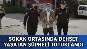 Sokak ortasında dehşet yaşatan şüpheli tutuklandı
