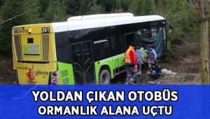 Yoldan çıkan yolcu otobüsü ormanlık alana uçtu: 2 yaralı