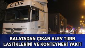 Balatadan çıkan alev önce tırın lastiklerini sonra konteyneri yaktı