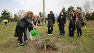 Başiskele Yeniköy’de 1000 ağaç toprakla buluştu
