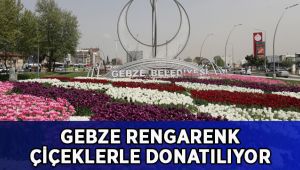 Gebze rengarenk çiçeklerle donatılıyor