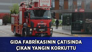 Gıda fabrikasının çatısında çıkan yangın korkuttu