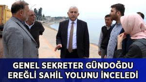 Gündoğdu Ereğli sahil yolunu inceledi
