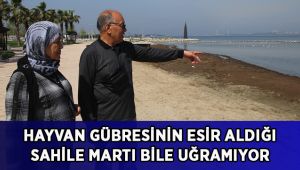 Hayvan gübresinin esir aldığı sahile martı bile uğramıyor
