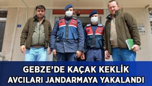 Kaçak keklik avcıları jandarmaya yakalandı