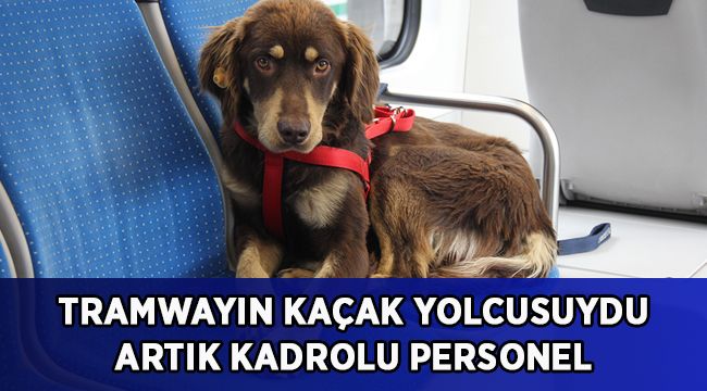 Kaçak olarak tramvaya biniyordu, artık belediyenin kadrolu personeli