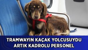 Kaçak olarak tramvaya biniyordu, artık belediyenin kadrolu personeli