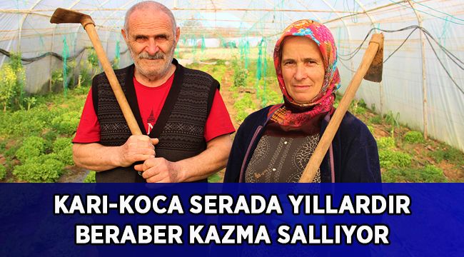 Karı-koca serada yıllardır beraber kazma sallıyor