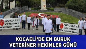 Kocaeli’de en buruk veteriner hekimler günü