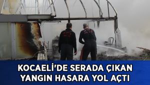 Kocaeli'de serada çıkan yangın hasara yol açtı