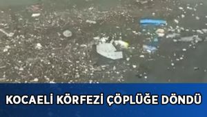 Kocaeli körfezi çöplüğe döndü