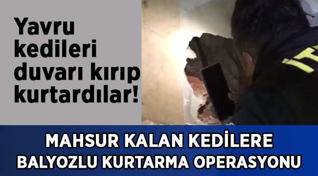 Mahsur kalan kedilere balyozlu kurtarma operasyonu