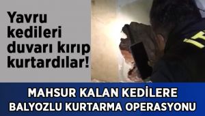 Mahsur kalan kedilere balyozlu kurtarma operasyonu