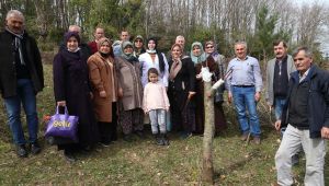 Meyve ağaçlarında aşılama ve budama nasıl olmalı?
