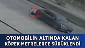 Otomobilin altında kalan köpek metrelerce sürüklendi!