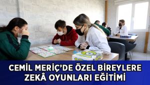 Özel bireylere zekâ oyunları eğitimi