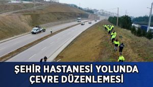 Şehir Hastanesi yolunda çevre düzenlemesi