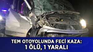 TEM’de kaza: 1 ölü 1 yaralı